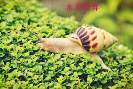 空间说说