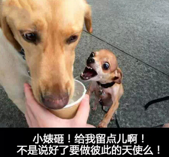 关于希望的说说：希望之后的不可能更让人绝望